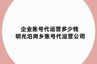 企业账号代运营多少钱 明光泊岗乡账号代运营公司